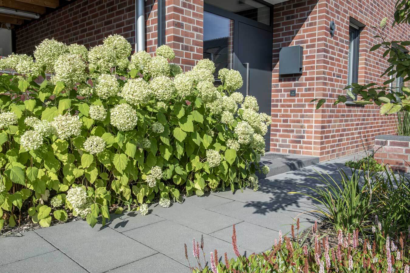 Pflastersteine Galanda ANTARIA 40x20x6 cm grau-nuanciert - Gartenbaustoff