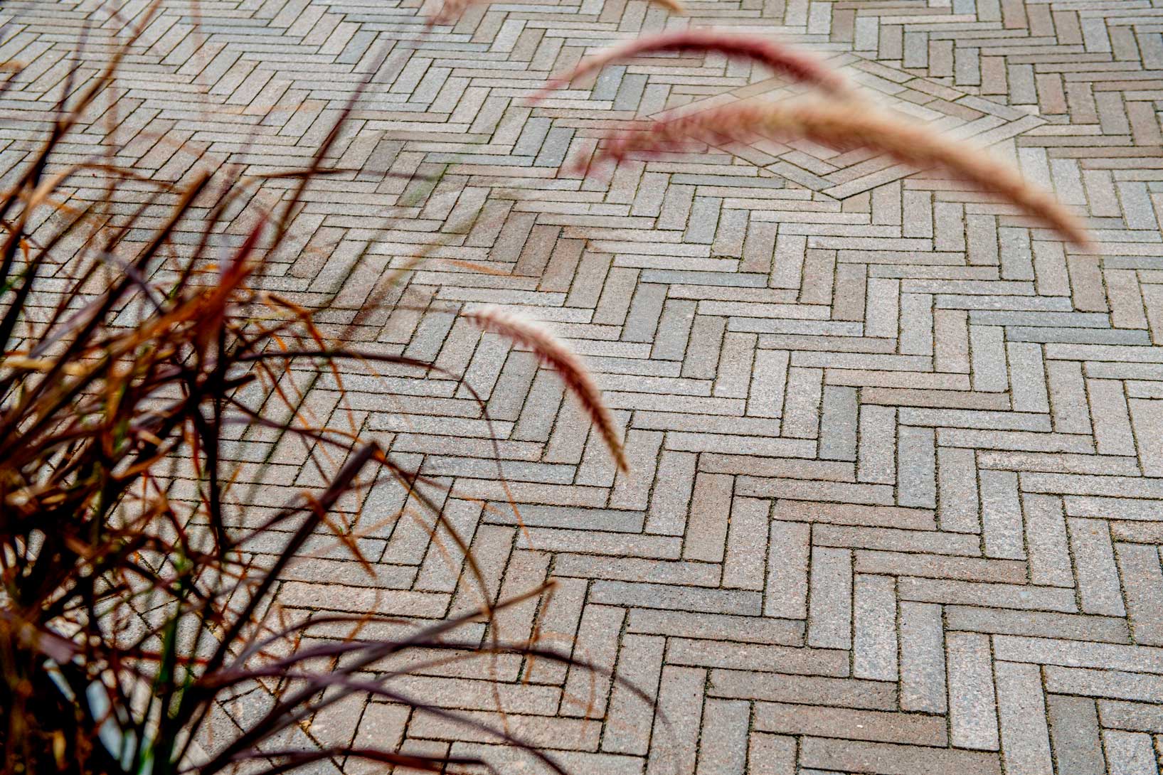 Pflastersteine METTEN SPRING ALVAR Braun-Grau in modernem Zickzackmuster mit dekorativen Pflanzen.