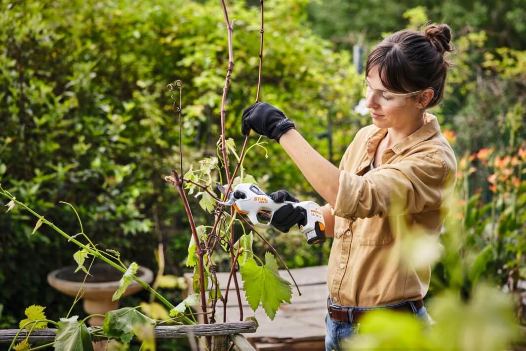 STIHL ASA 20 Set inkl. Akku AS2 und Ladegerät AL1 – Frau schneidet Pflanzen mit Akku-Astschere im Garten.