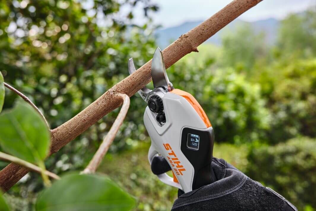 STIHL ASA 20 Set inkl. Akku AS2 und Ladegerät AL1 – ergonomische Akku-Astschere bei Anwendung im Garten.